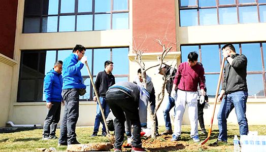 2019年AG旗舰厅实业集团植树运动